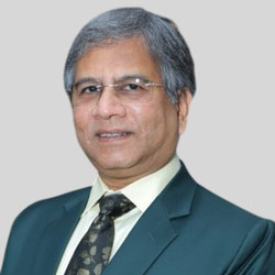 Prof. Dr. Dipanjan Roy